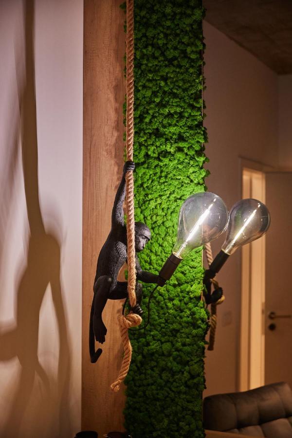 Quiboo Cosmopolit Apartment Brasov Exterior photo